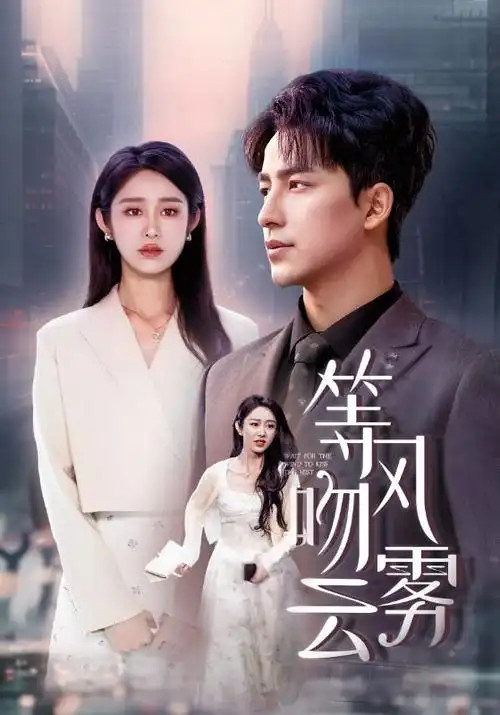 暗夜追踪视频播放